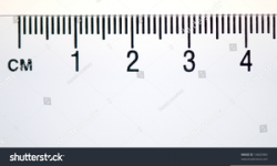 Centimeter Ruler Clipart | Free Images at Clker.com - vector ...