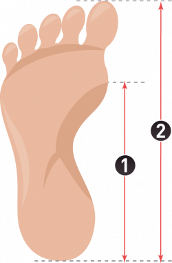 How To Measure Insoles | Wiivv