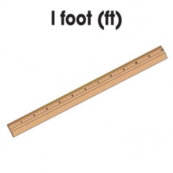 1 Foot Ruler | Printable Clip Art and Images
