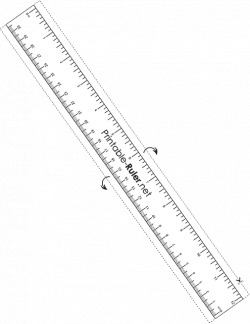 12″ | 30cm ruler (transparent) if you need to print a ruler actual ...