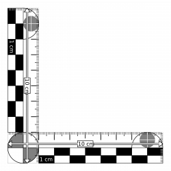 Clipart - Photomacrographic scale 10x10cm