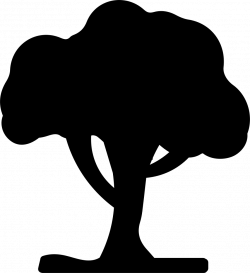 Tree Black Silhouette Shape Svg Png Icon Free Download (#35024 ...