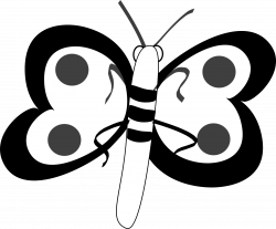Butterfly black and white butterfly clip art black and white clipart ...
