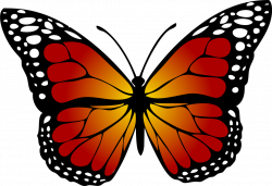Malachite butterfly clipart - Clipground
