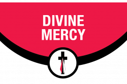 Divine Mercy Catholic School Open House | Seton Catholic Schools