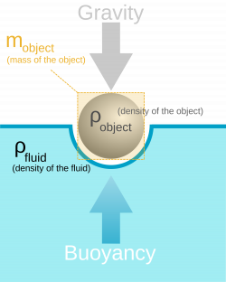 Density & Buoyancy | FlipQuiz