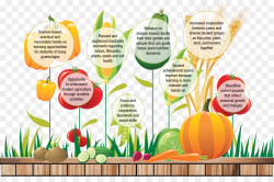 Fruit Cartoon clipart - Garden, Food, transparent clip art