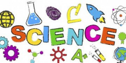 Our 3 favorite science worksheets for each grade | Parenting