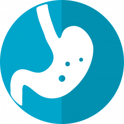 Free Technology for Teachers: How Your Digestive System Works - A ...