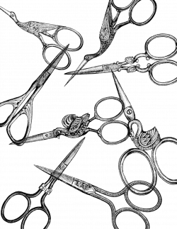 Vintage Scissors Clip Art PNG | PNG Mart