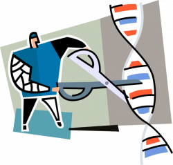 Geneticist Engineers DNA - Vector Image