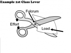 Scissors are a class 1 lever | L 14 | Simple machines, Words ...
