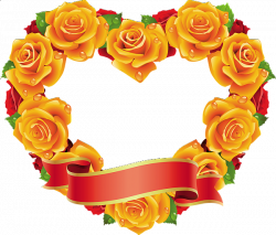 Yellow and Red Roses Heart Transparent Frame | Pozadia a orámovania ...