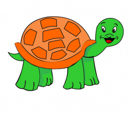 How to Draw a Turtle | Easy Step-by-Step Drawing Guides
