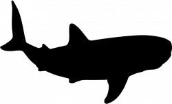 Whale Shark Shape Svg Png Icon Free Download (#34173 ...