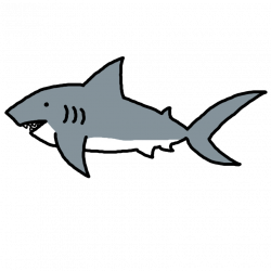 28+ Collection of Sharks Clipart Images | High quality, free ...