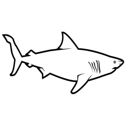 Free Black And White Shark Pictures, Download Free Clip Art ...
