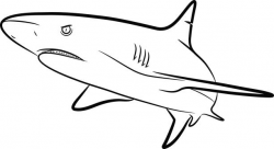 Shark black and white clipart 5 » Clipart Station