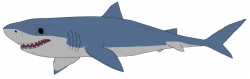 28+ Collection of Blue Shark Drawing | High quality, free cliparts ...