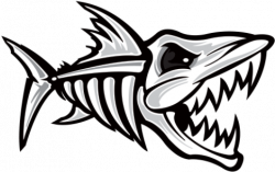 Bone Clipart Shark - Fish Skeleton - Png Download - Full ...