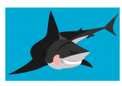 Friendly shark Icons PNG - Free PNG and Icons Downloads