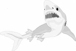 Shark Fish Clipart png free download
