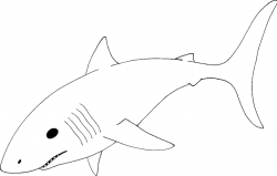 Shark black and white mako shark clipart black and white ...