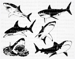 Great White Shark SVG Files, Shark SVG, Shark Clipart, Shark Cut Files For  Silhouette, Shark Files for Cricut, Vector, Dxf, Png, Eps, Design