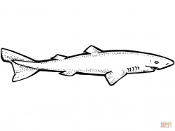 Greenland Shark coloring page | Free Printable Coloring Pages