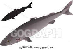 EPS Illustration - Greenland shark. Vector Clipart ...