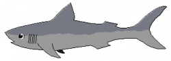 Free Great White Shark Clipart - Clipart Picture 1 of 4