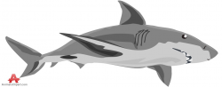 Gray shark clipart free clipart design download - Cliparting.com