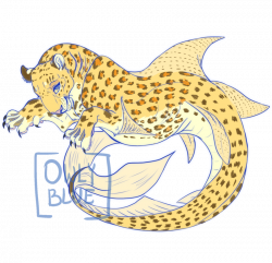 Leopard shark ID by OwlyBlue on DeviantArt