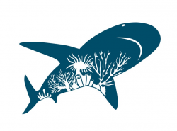 Reef Shark Clipart - Shark Sticker - Shark Conservation - Animal Sticker -  DIY Sticker - Environmental Art - Crafts - Scrapbook