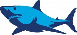Ecommerce & Marketing | Blue Fish | Ecommerce and Marketing Strategy