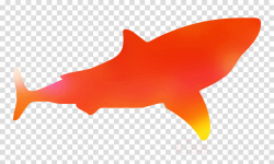 Shark Fin Background clipart - Fish, Orange, transparent ...