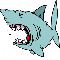 Shark Animation Clip art - Hand-painted cartoon shark 613*614 ...