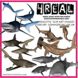 4 Real! Realistic Shark Clip Art - Hammerhead, Blue, Whale & White Tipped
