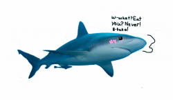 Freeworldgroup Com - Realistic Drawings Of Sharks Free PNG ...