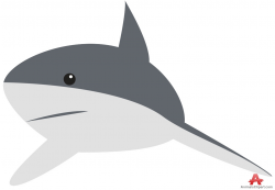 Gray reef shark clipart free clipart design download ...