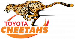 Cheetahs (rugby union) - Wikipedia