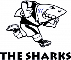 Sharks (rugby a 15) - Wikipedia