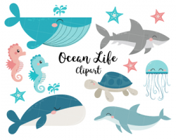 Ocean Life Clipart, Shark, Whale, Jellyfish, Dolphin, Sea Horse, Clipart