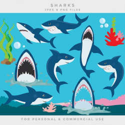 Shark clipart - shark clip art sea clip art seaweed coral ...