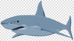 Great white shark , Shark transparent background PNG clipart ...