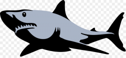 Great White Shark Background clipart - Fish, Wildlife ...