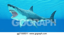 Drawing - Great white shark underwater. Clipart Drawing ...