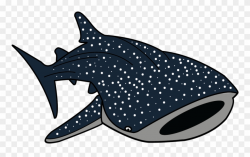 Hammerhead Shark Clipart Whale Shark - Whale Shark Clip Art ...