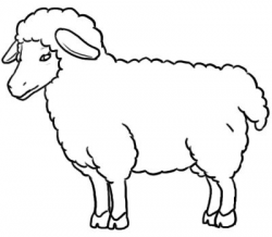 Sheep black and white sheep clipart black and white how to ...
