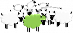 I am the green sheep | Sheepish Poetry